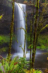Silver Falls-1672.jpg Silver Falls-1672.jpg